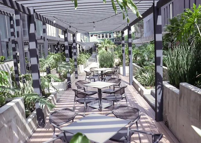 A Loft To Spend Pleasant Days Mexico City